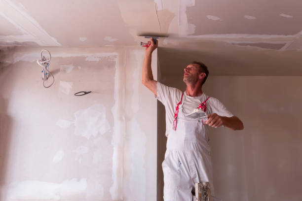 Best Commercial Painting  in North Merritt Island, FL